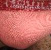 foto do perfil bicurious20dump